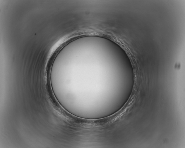 X0000090760246200707201059