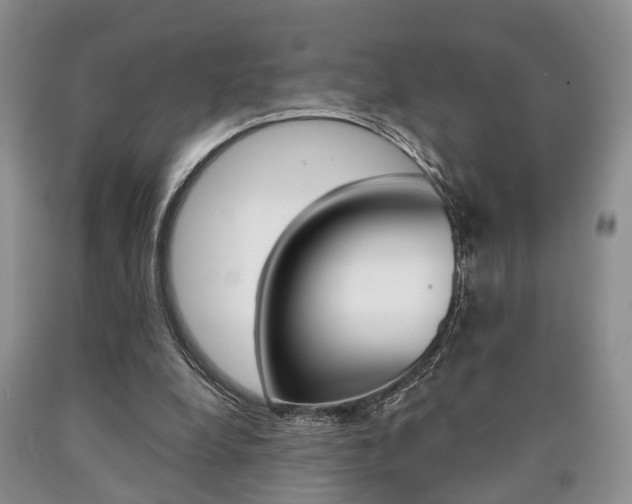 X0000090760248200707201100