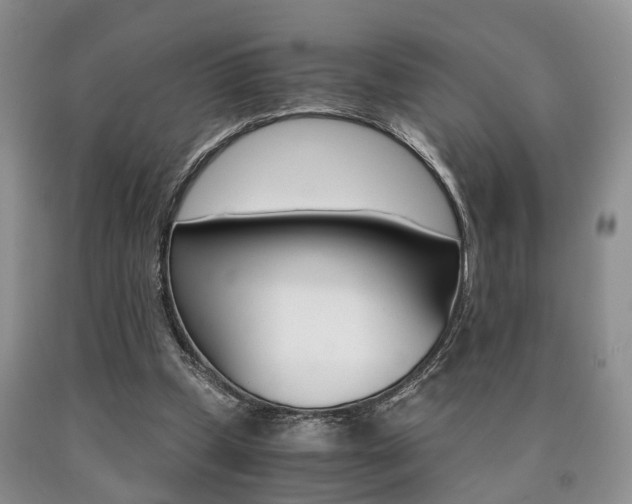 X0000090760249200707201100