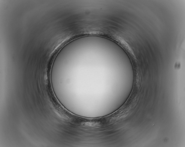 X0000090760251200707201100