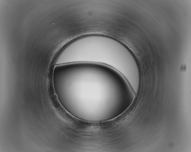 X0000090760252200707201100