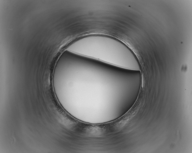 X0000090760253200707201100