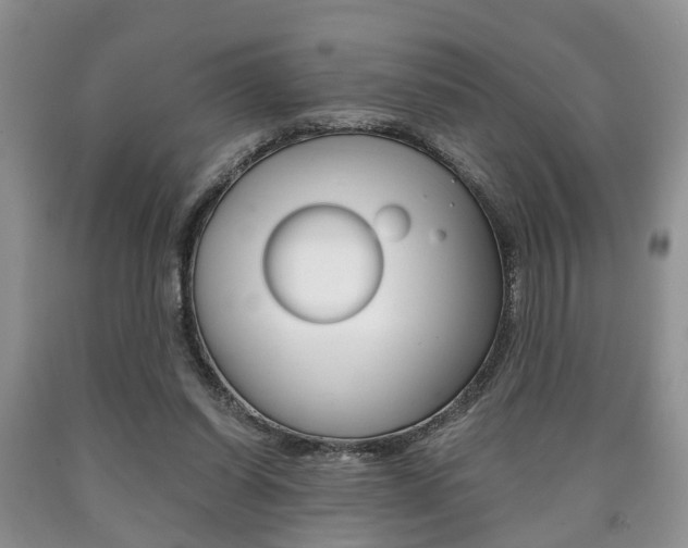 X0000090760254200707201100