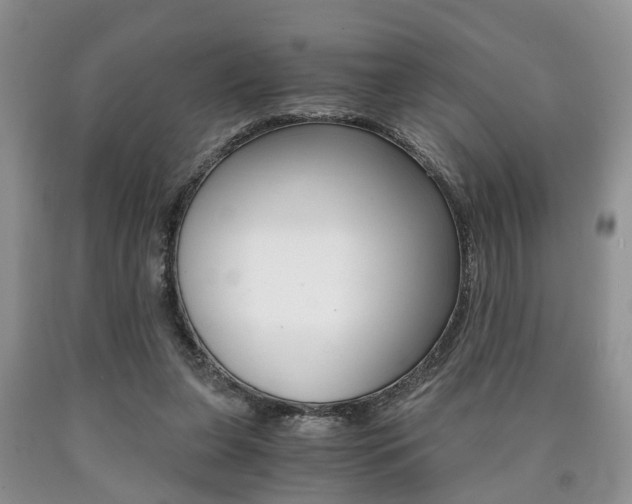 X0000090760255200707201100