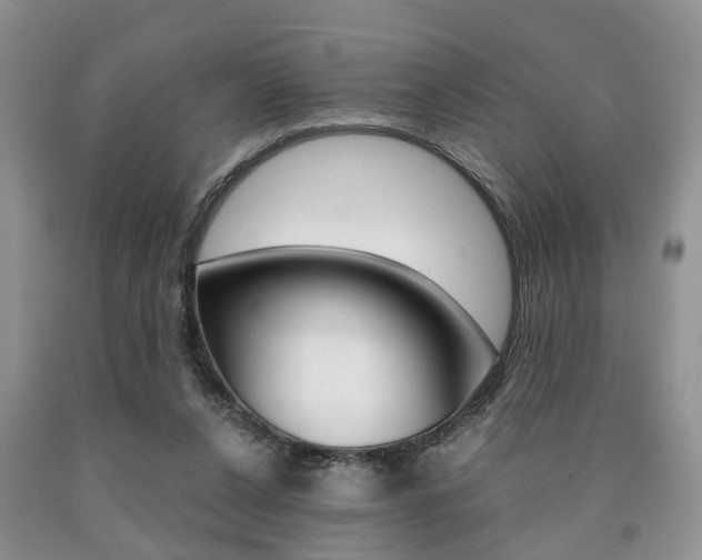 X0000090760256200707201100