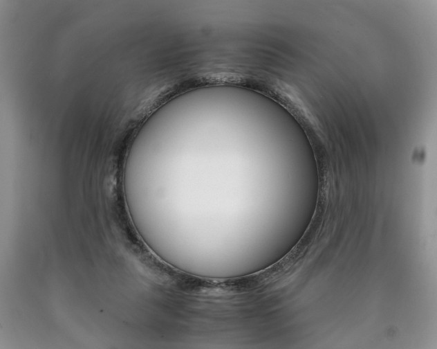 X0000090760259200707201100