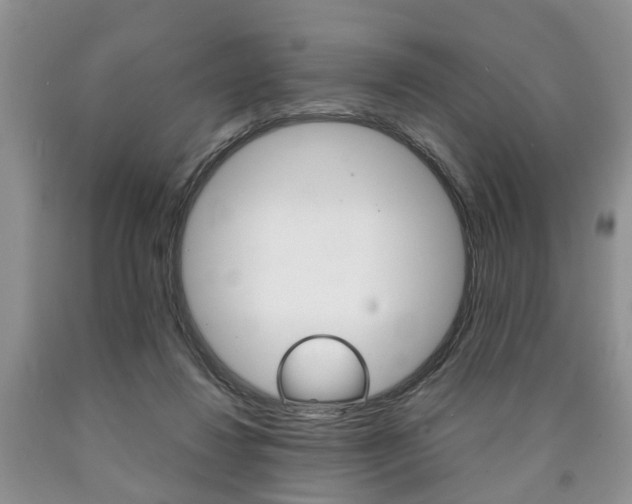 X0000090760260200707201100