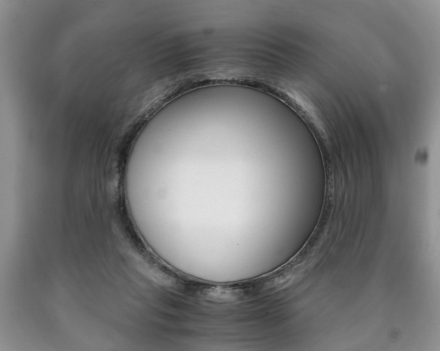 X0000090760261200707201100