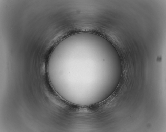 X0000090760262200707201100