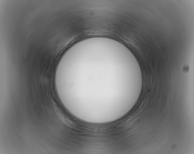 X0000090760264200707201100