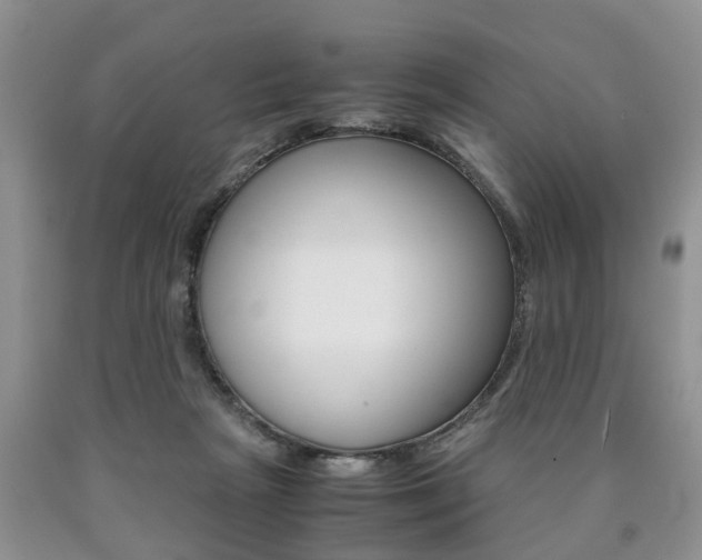 X0000090760265200707201100