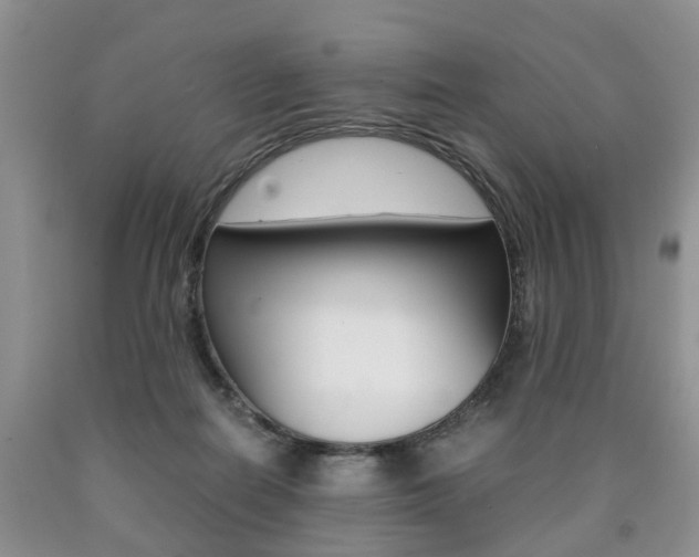 X0000090760266200707201100