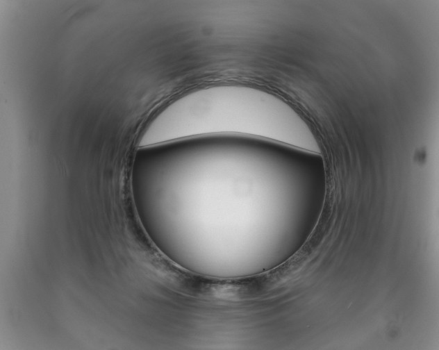 X0000090760268200707201100