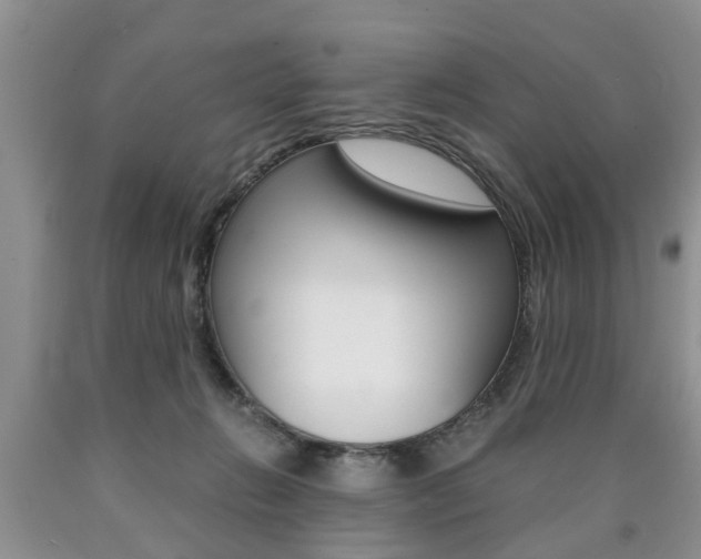 X0000090760270200707201100