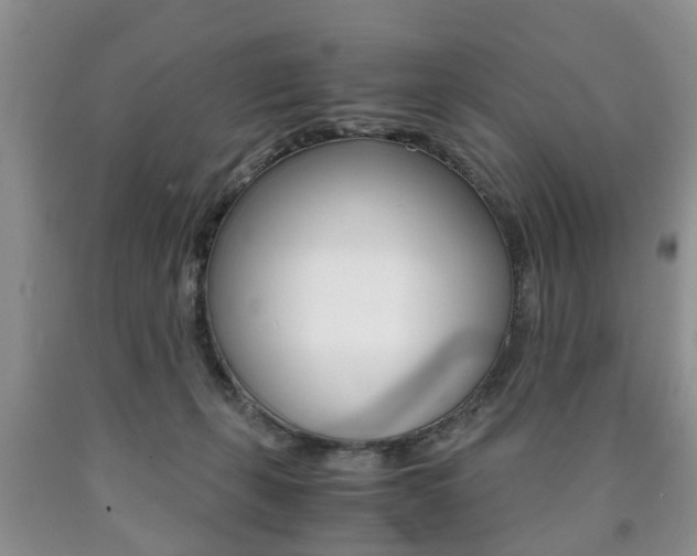 X0000090760271200707201100