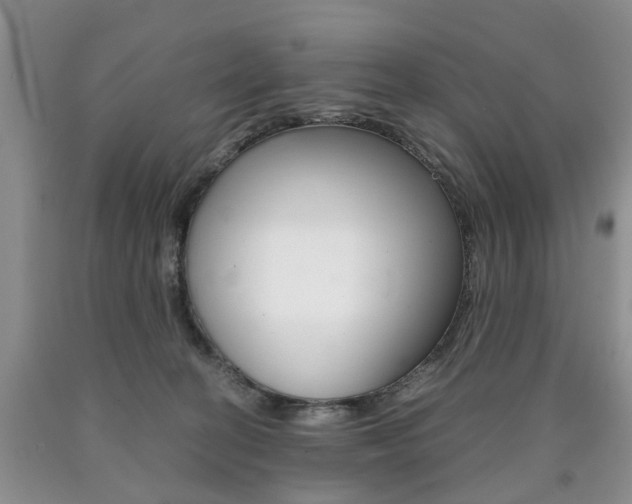 X0000090760274200707201100