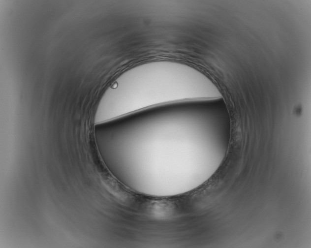 X0000090760275200707201100