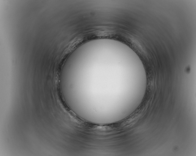 X0000090760277200707201100