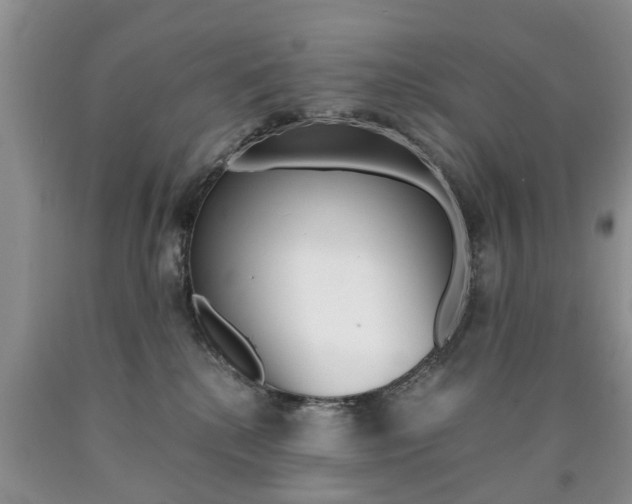X0000090760280200707201100