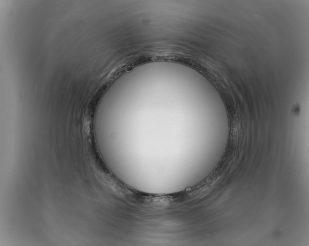 X0000090760282200707201100