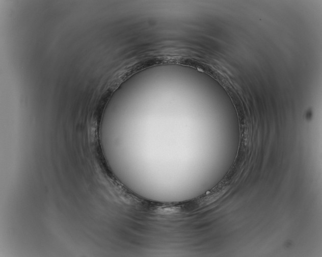 X0000090760283200707201100