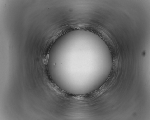 X0000090760284200707201100