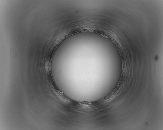 X0000090760285200707201100