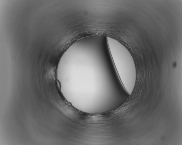 X0000090760286200707201100