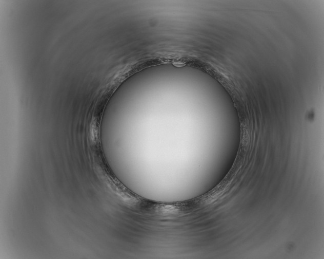 X0000090760287200707201100