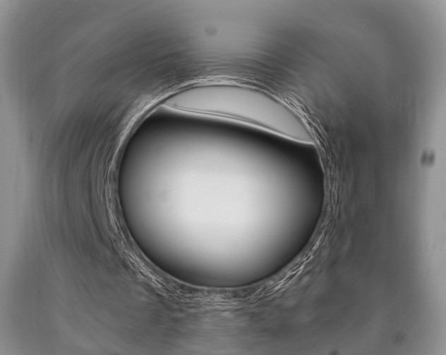 X0000090760289200707201059