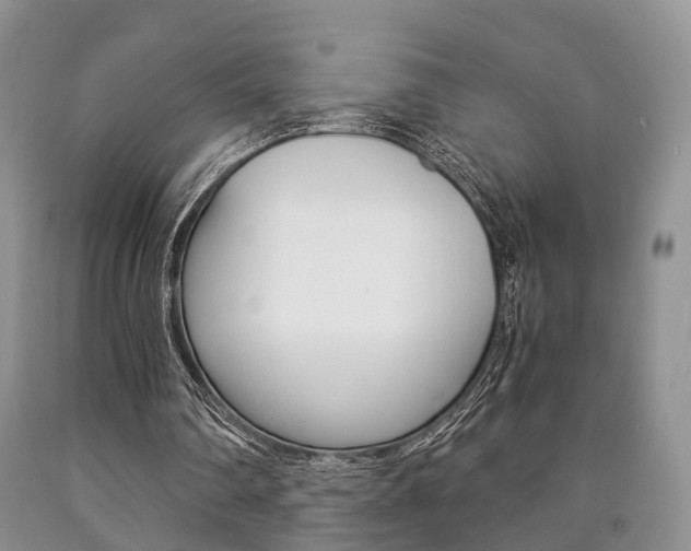 X0000090760290200707201059
