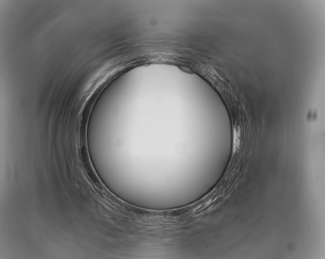 X0000090760291200707201059