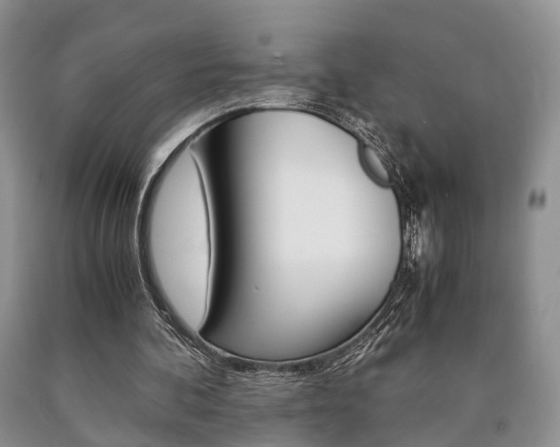 X0000090760292200707201059