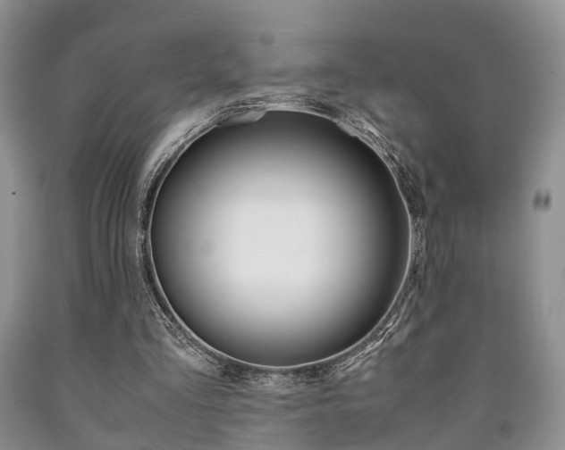 X0000090760293200707201059