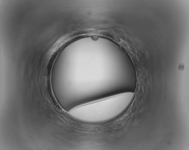 X0000090760295200707201059