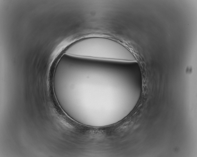 X0000090760296200707201059