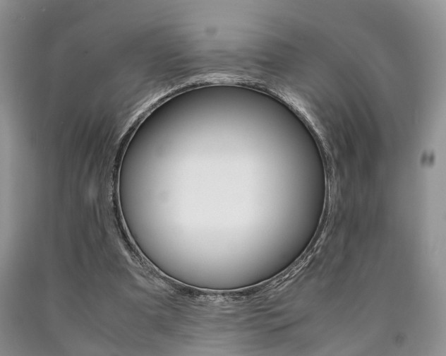 X0000090760297200707201059