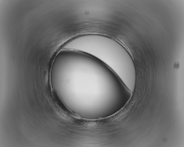 X0000090760301200707201059