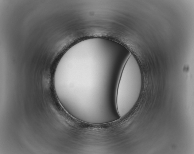 X0000090760304200707201059
