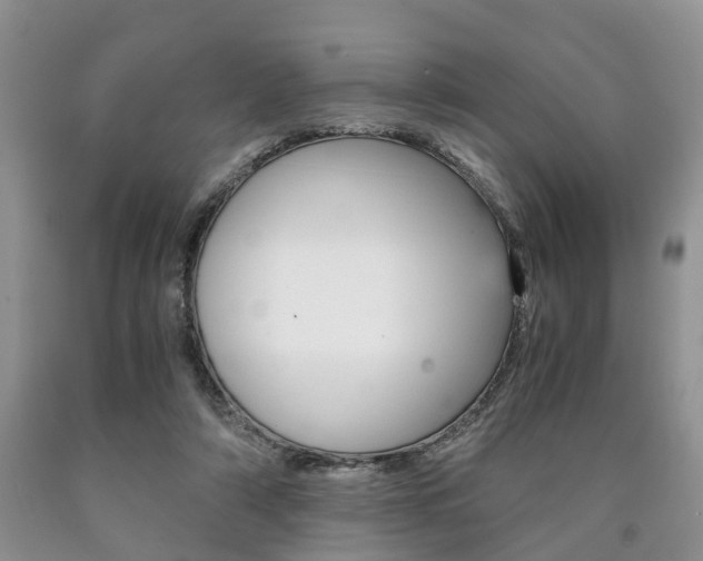 X0000090760306200707201059