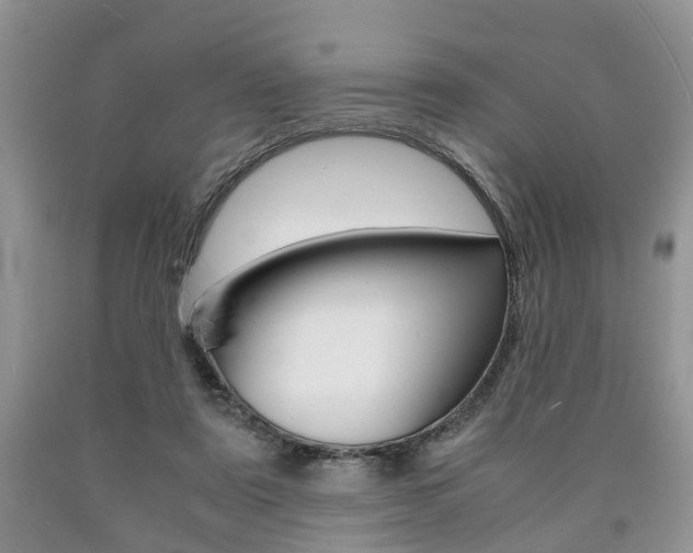 X0000090760307200707201059