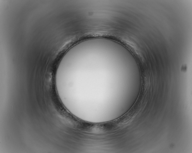 X0000090760308200707201059