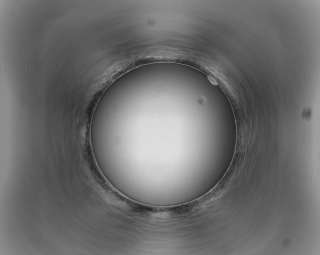 X0000090760309200707201059