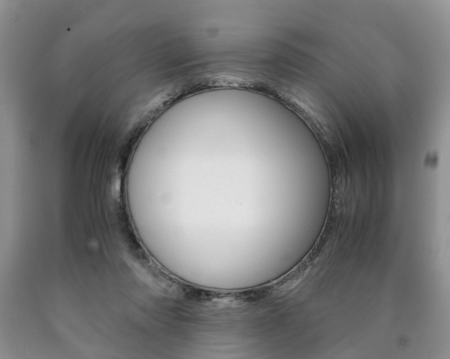 X0000090760310200707201059