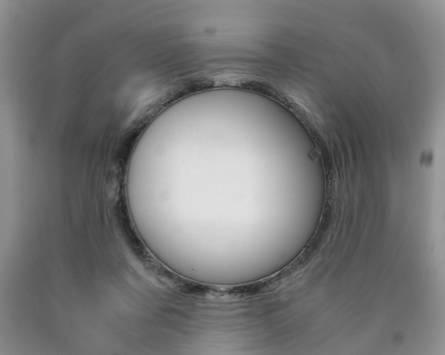 X0000090760311200707201059