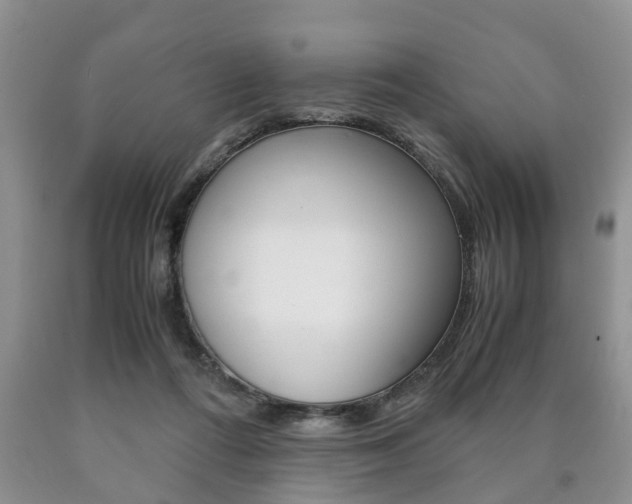 X0000090760312200707201059