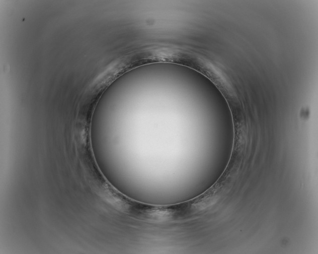 X0000090760313200707201059