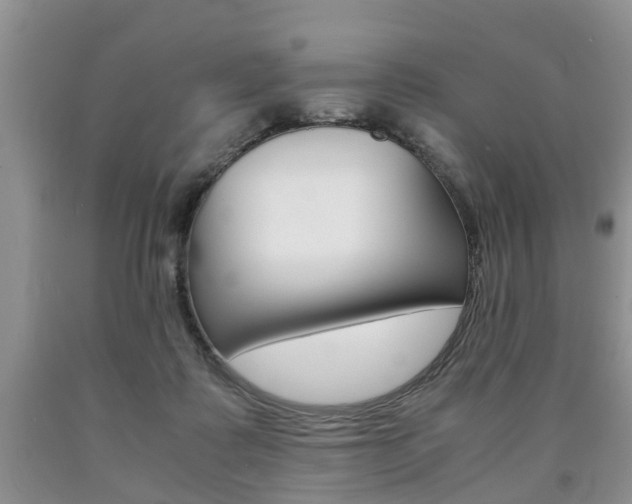 X0000090760315200707201059
