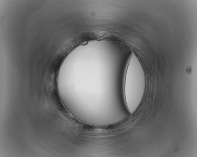 X0000090760319200707201059