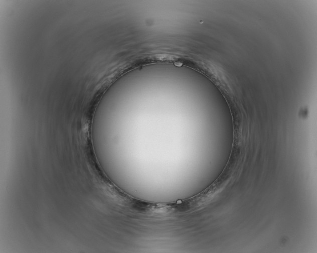 X0000090760321200707201059